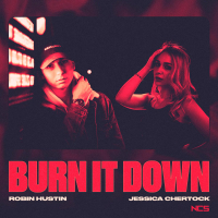 Burn It Down (Single)