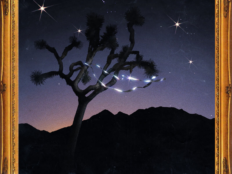 Don't Waste Your Wishes