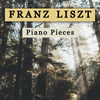 Franz Liszt - Piano Pieces (Single)