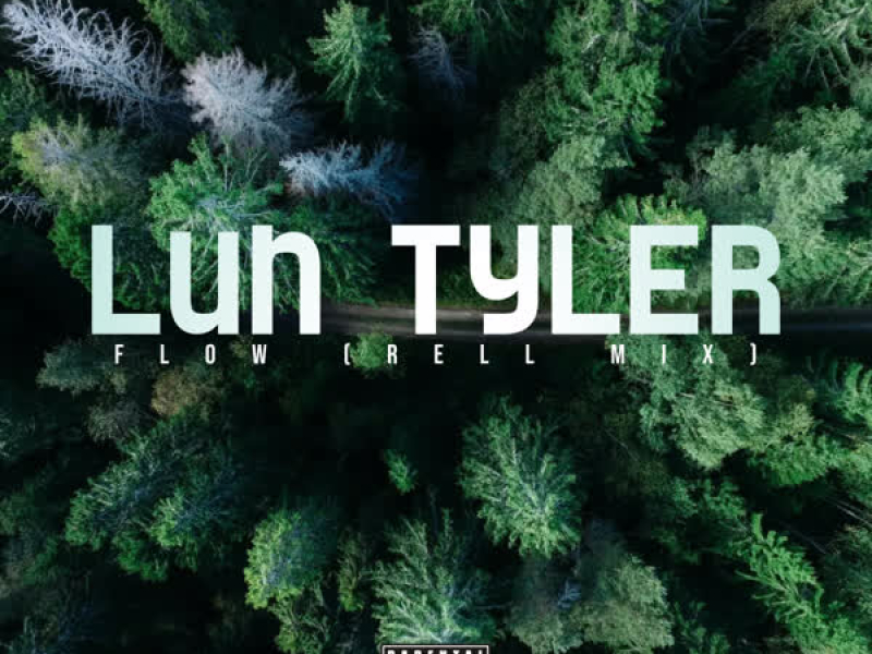 Luh Tyler Flow (Single)