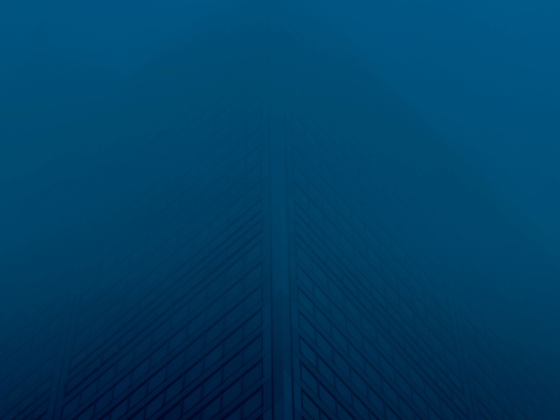 tainted skies (Single)