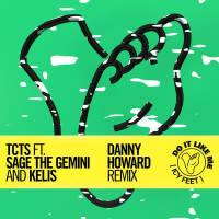 Do It Like Me (Icy Feet) (Danny Howard Remix) (Single)