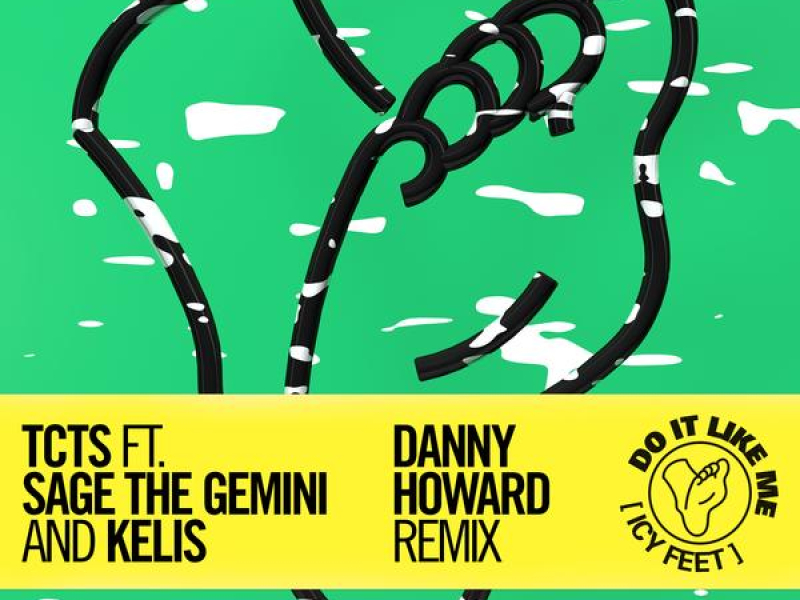 Do It Like Me (Icy Feet) (Danny Howard Remix) (Single)