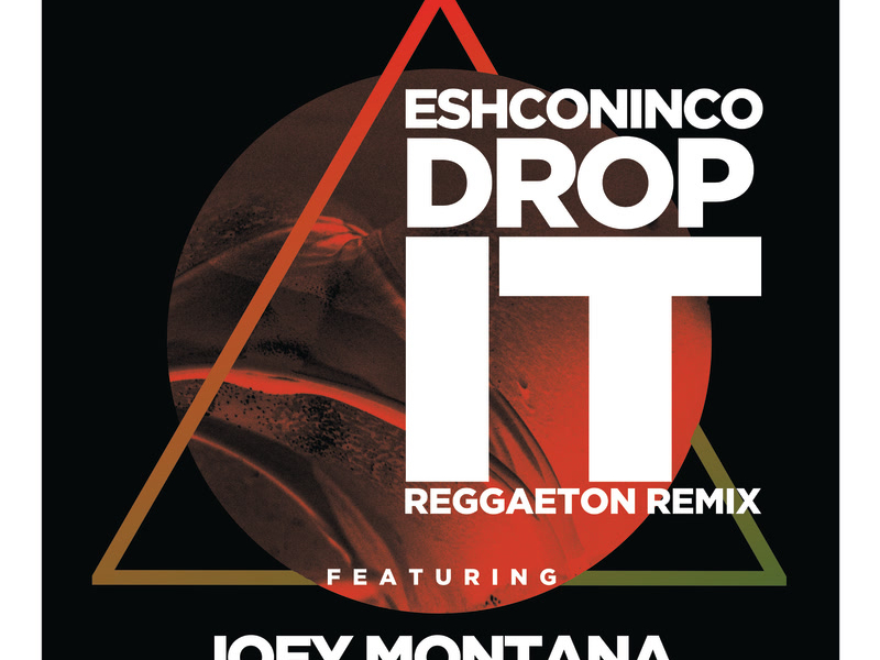 Drop It (Reggaeton Remix) (Single)