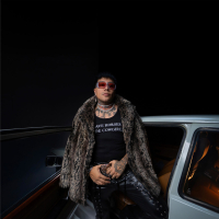 Artista Narcisista (Single)