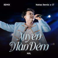 Xuyên Màn Đêm (Remix) (Single)
