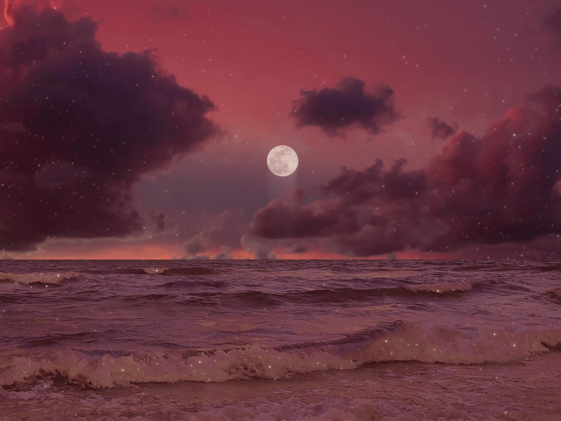 Can't Get You Out Of My Head (Sped Up) (feat. Whoopa) (Single)