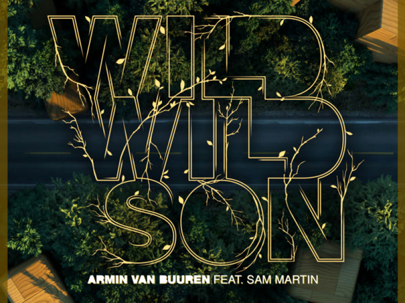 Wild Wild Son (Single)