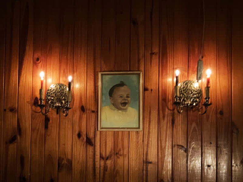 Gato roba talento (Dale con miau) (Single)