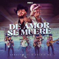 De Amor Se Muere (Single)