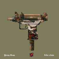 Like a Boss (Single)