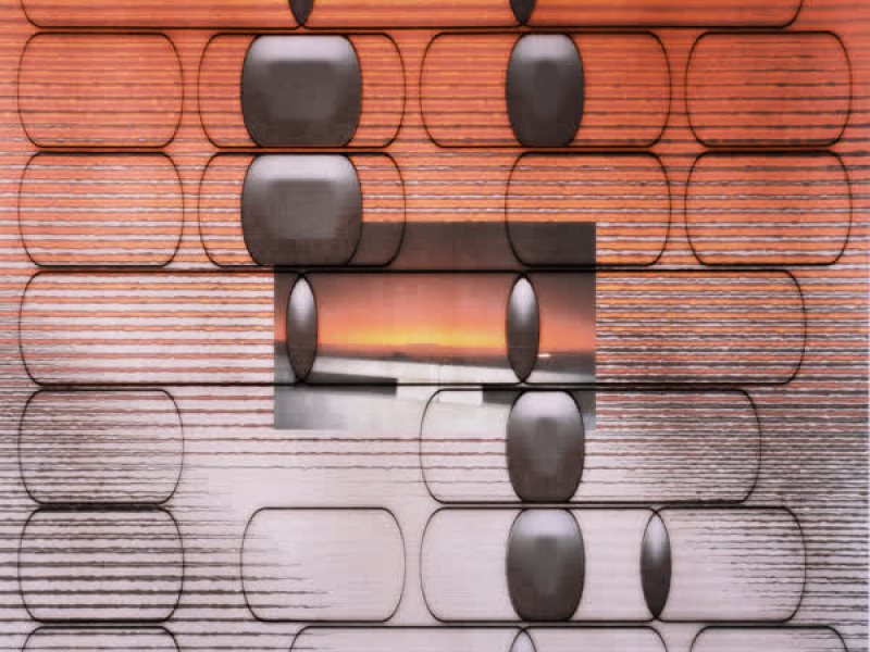 Wife Riddim (Single)