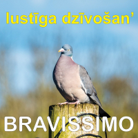Lustiga Dzivosan (Single)