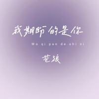 我期盼的是你 (Single)