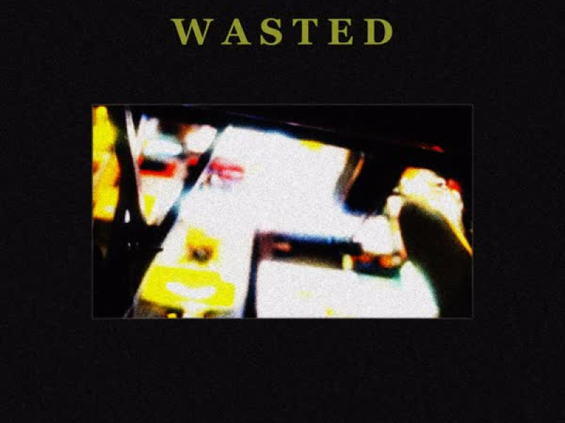 Wasted (Feat. YANU) (Single)