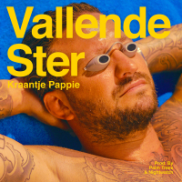 Vallende Ster (Single)