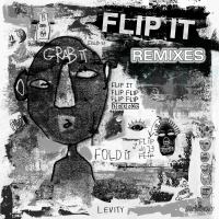 Flip It (Remixes) (Single)