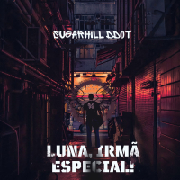 LUNA, IRMÃ ESPECIAL! (Single)