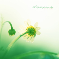 A bright spring day (Single)