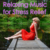 Relaxing Music for Stress Relief: Calm Music for Yoga, Meditation, Sleep, Healing Therapy, Spa (Single)