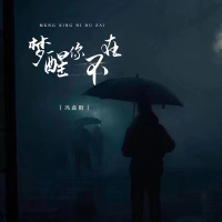 梦醒你不在 (Single)