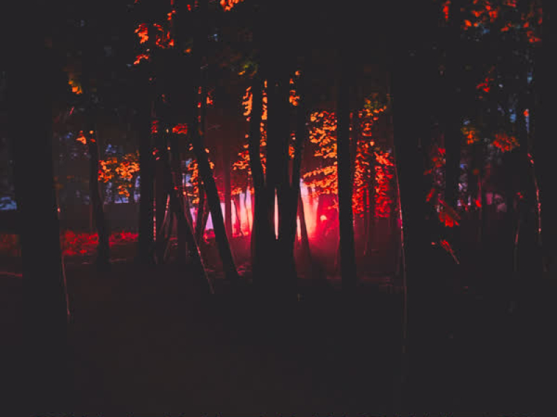 Silent Nights (Single)