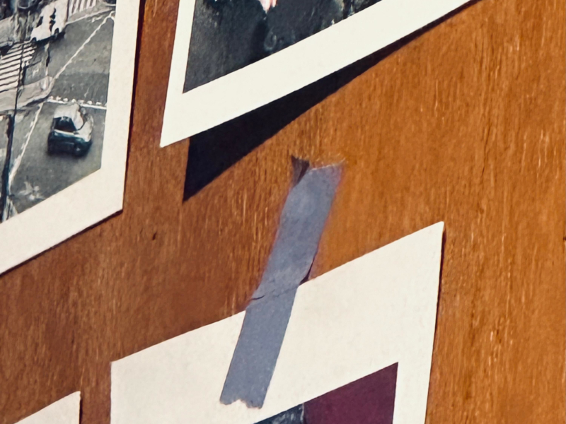 can you feel the love tonight (Single)