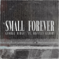 Small Forever (Single)