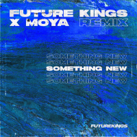Something New (Future Kings Remix) (Single)