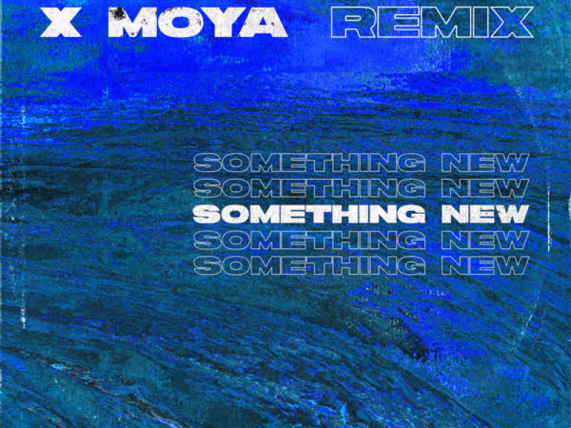 Something New (Future Kings Remix) (Single)
