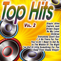 Top Hits Vol.2