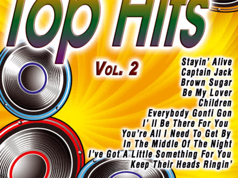 Top Hits Vol.2