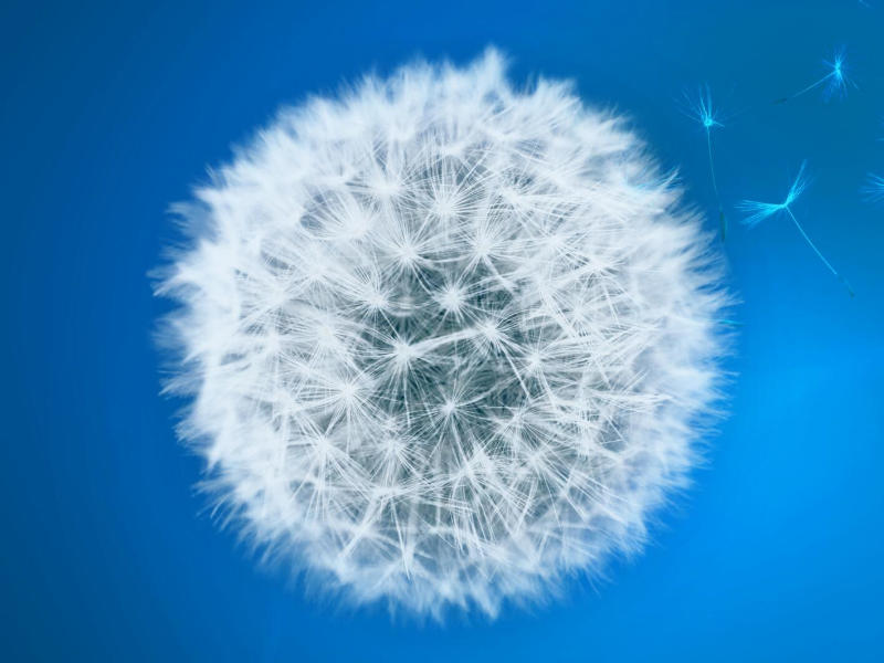 Chills (Feel My Love) (Single)