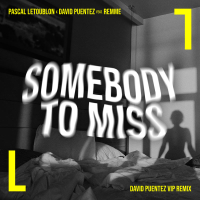 Somebody To Miss (David Puentez VIP Remix) (Single)