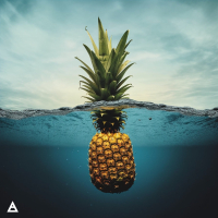 Deeper End (T-Mix) (Single)