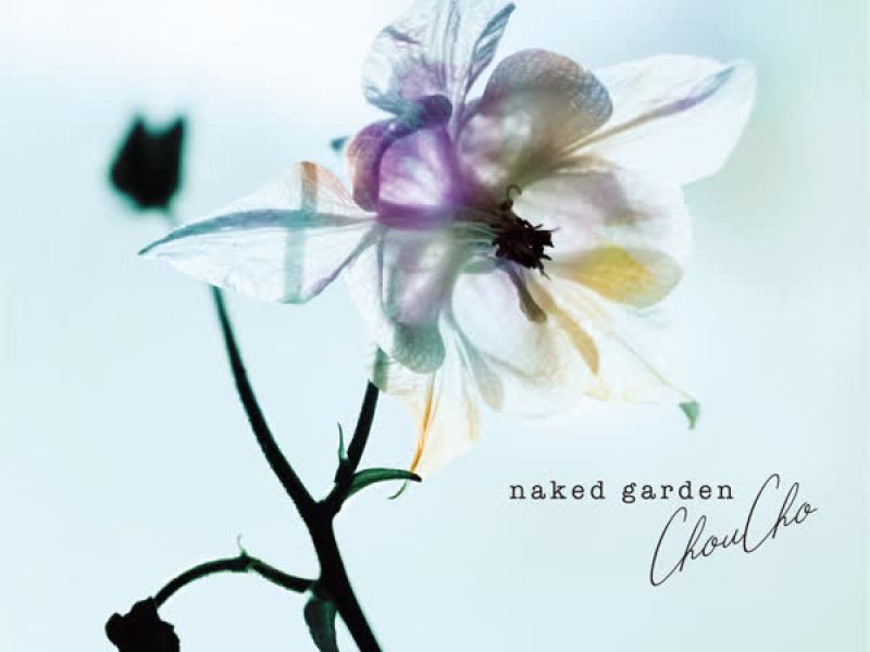 ChouCho Acoustic Album 