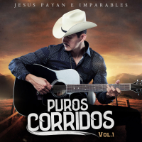 Puros Corridos, Vol. 1