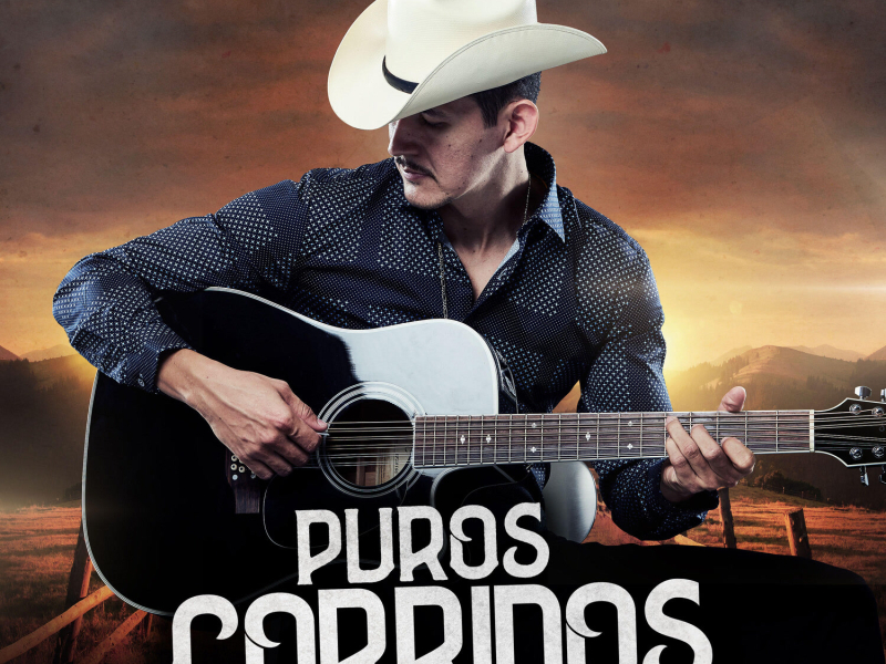 Puros Corridos, Vol. 1