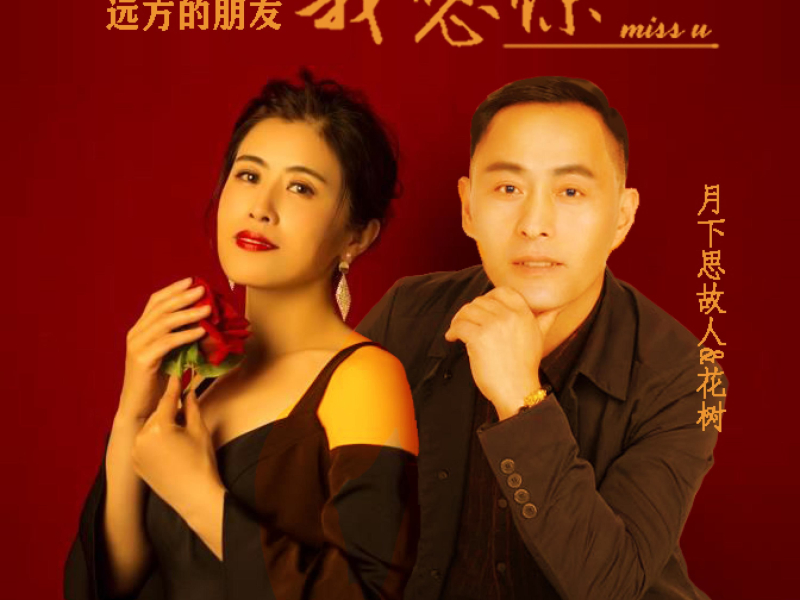 远方的朋友我想你 (对唱版) (Single)
