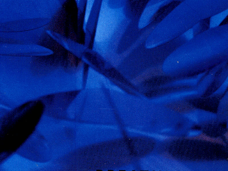 Walk Down To The Water