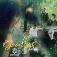 Goodbye (Single)