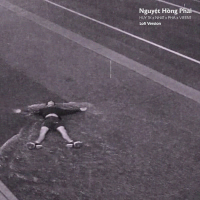 Nguyệt Hồng Phai (Lofi Version) (Single)