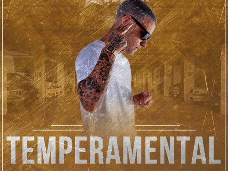 Temperamental (Single)