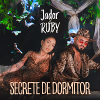 Secret de dormitor (Single)