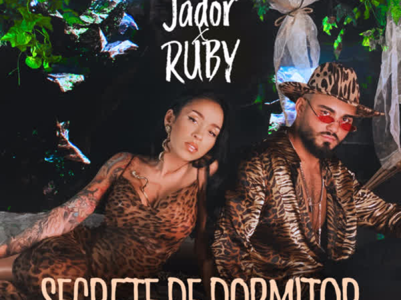 Secret de dormitor (Single)