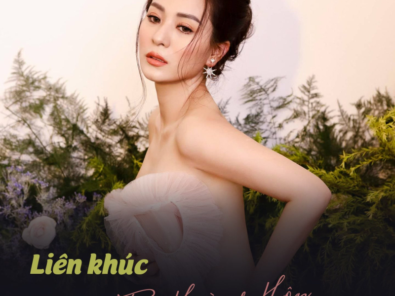 Liên Khúc Chuyến Tàu Hoàng Hôn (Single)