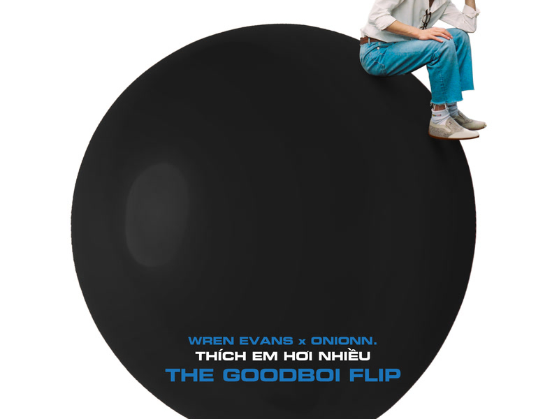 Thích Em Hơi Nhiều (The Goodboi Flip) (Single)