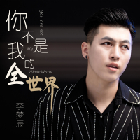 你不是我的全世界 (Single)