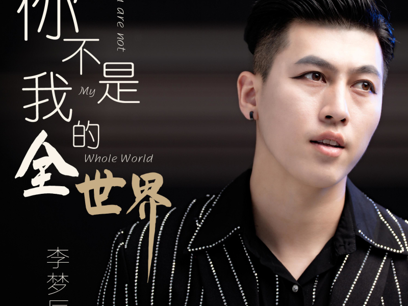 你不是我的全世界 (Single)