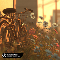 What Love Can Do (Single)